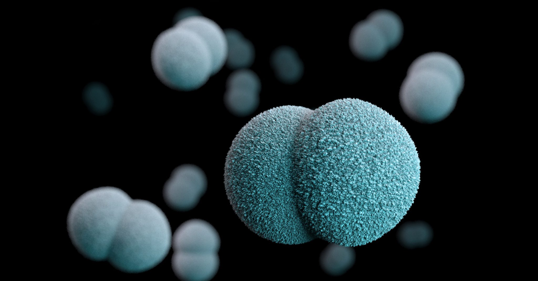 Bedeutung der Endotoxine Minerva Analytix